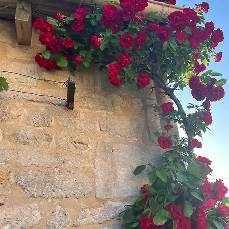 Maison Libellule Clion